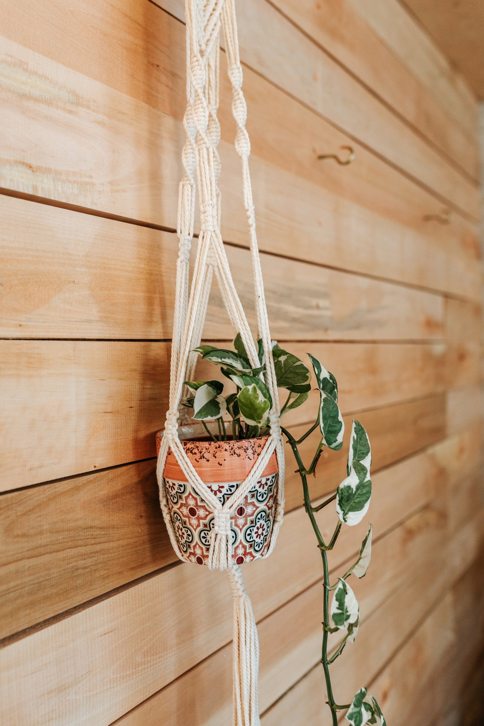 Macrame Držač za Saksiju - Image 2