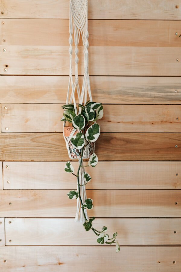 Macrame Držač za Saksiju - Image 3