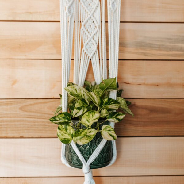 Macrame Držač za Saksiju