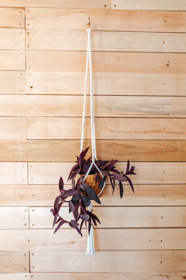Macrame Držač za Saksiju