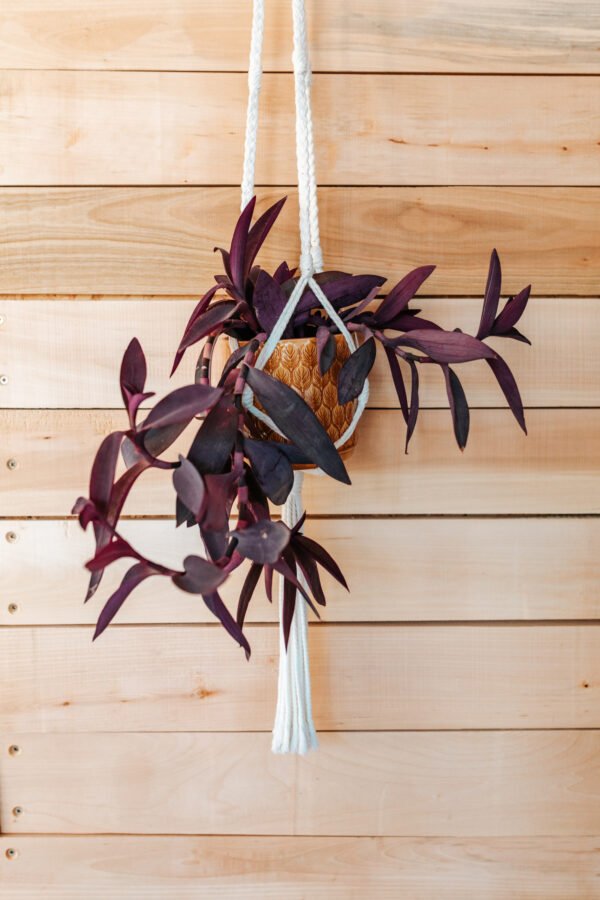 Macrame Držač za Saksiju - Image 3