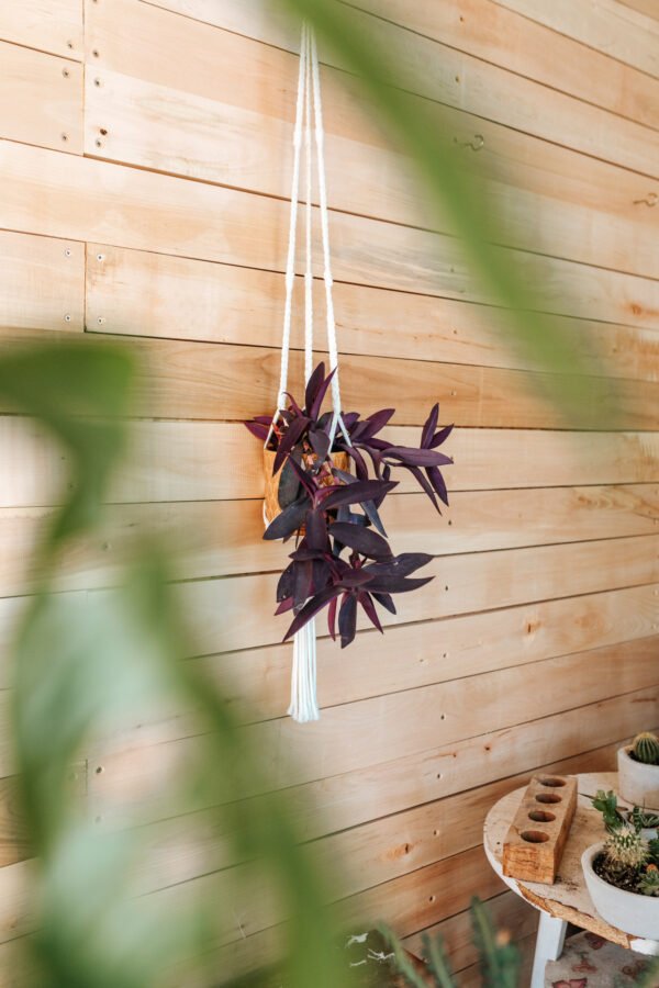 Macrame Držač za Saksiju - Image 2