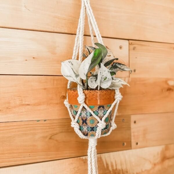 Macrame Simple Plant Hanger
