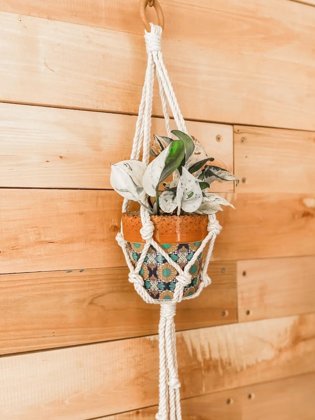 Macrame Simple Plant Hanger