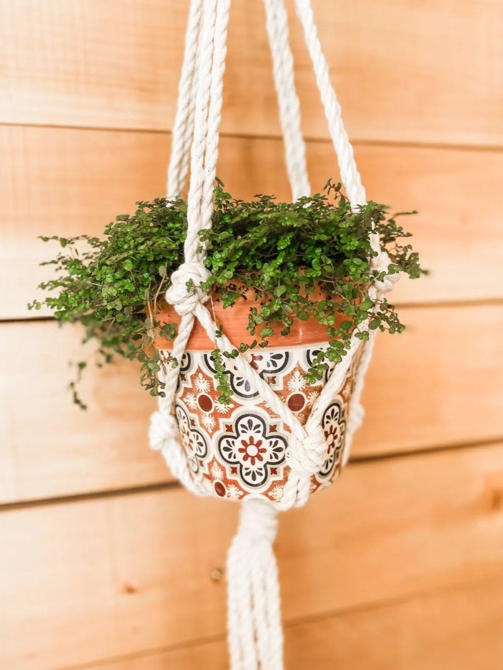 Macrame Simple Plant Hanger - Image 2
