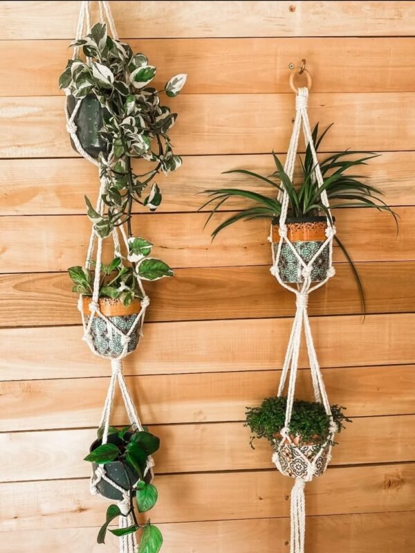 Macrame Triple Plant Hanger