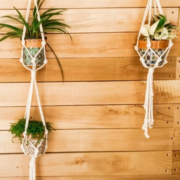 Macrame Double Plant Hanger