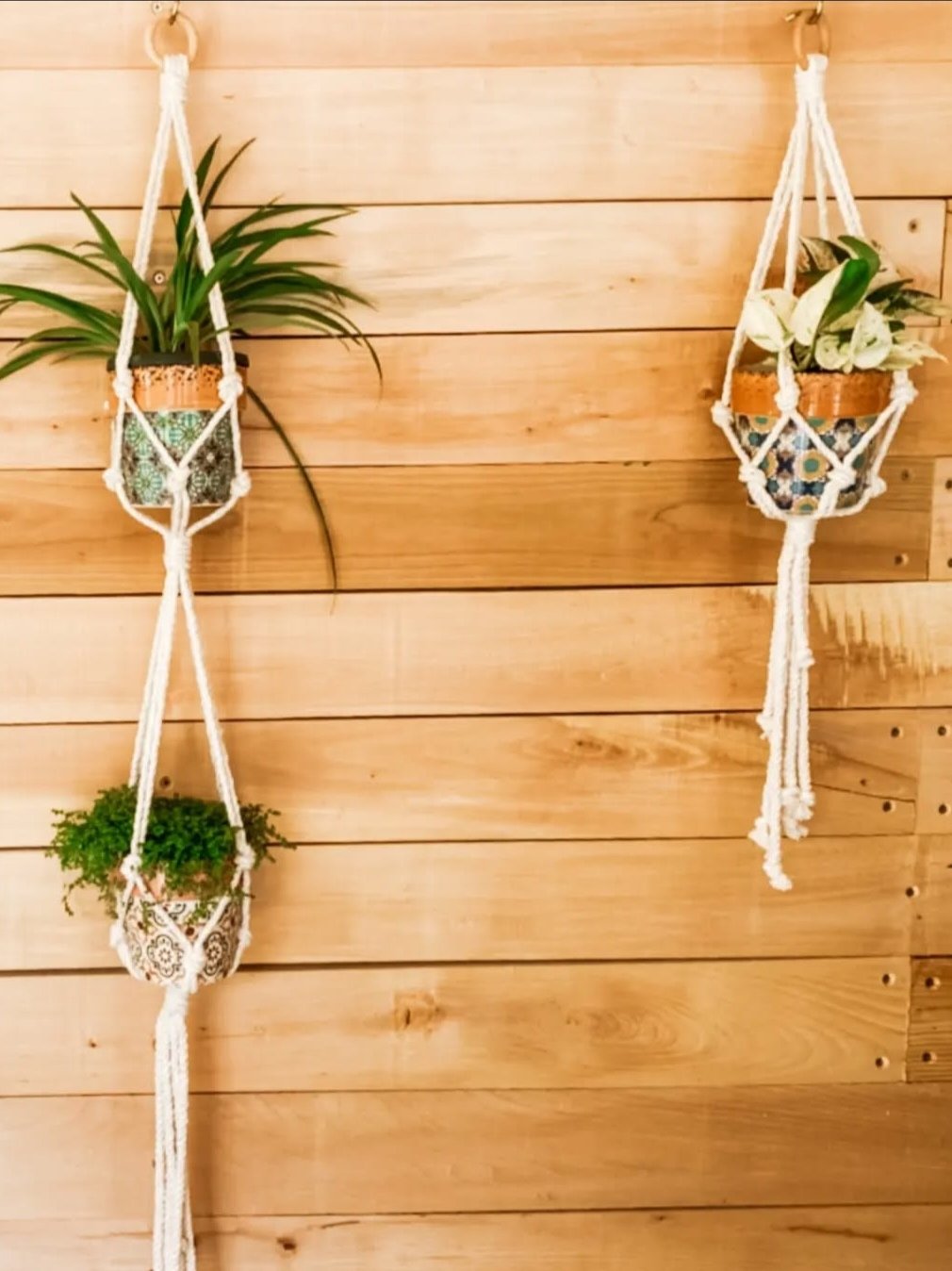 Macrame Double Plant Hanger